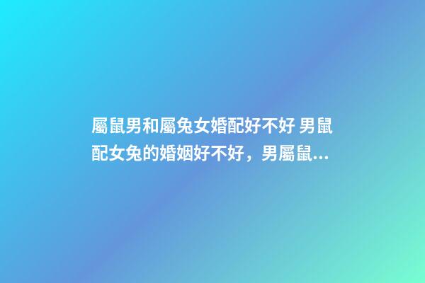 屬鼠男和屬兔女婚配好不好 男鼠配女兔的婚姻好不好，男屬鼠配女屬兔婚姻上旺不旺-第1張-觀點-玄機派